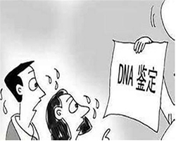 江苏第一人民医院可以做DNA亲子鉴定吗，江苏医院做DNA鉴定办理条件
