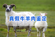 江苏羊类动物鉴定